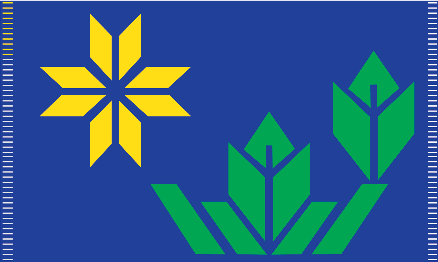 Minnesota Flag Finalist!