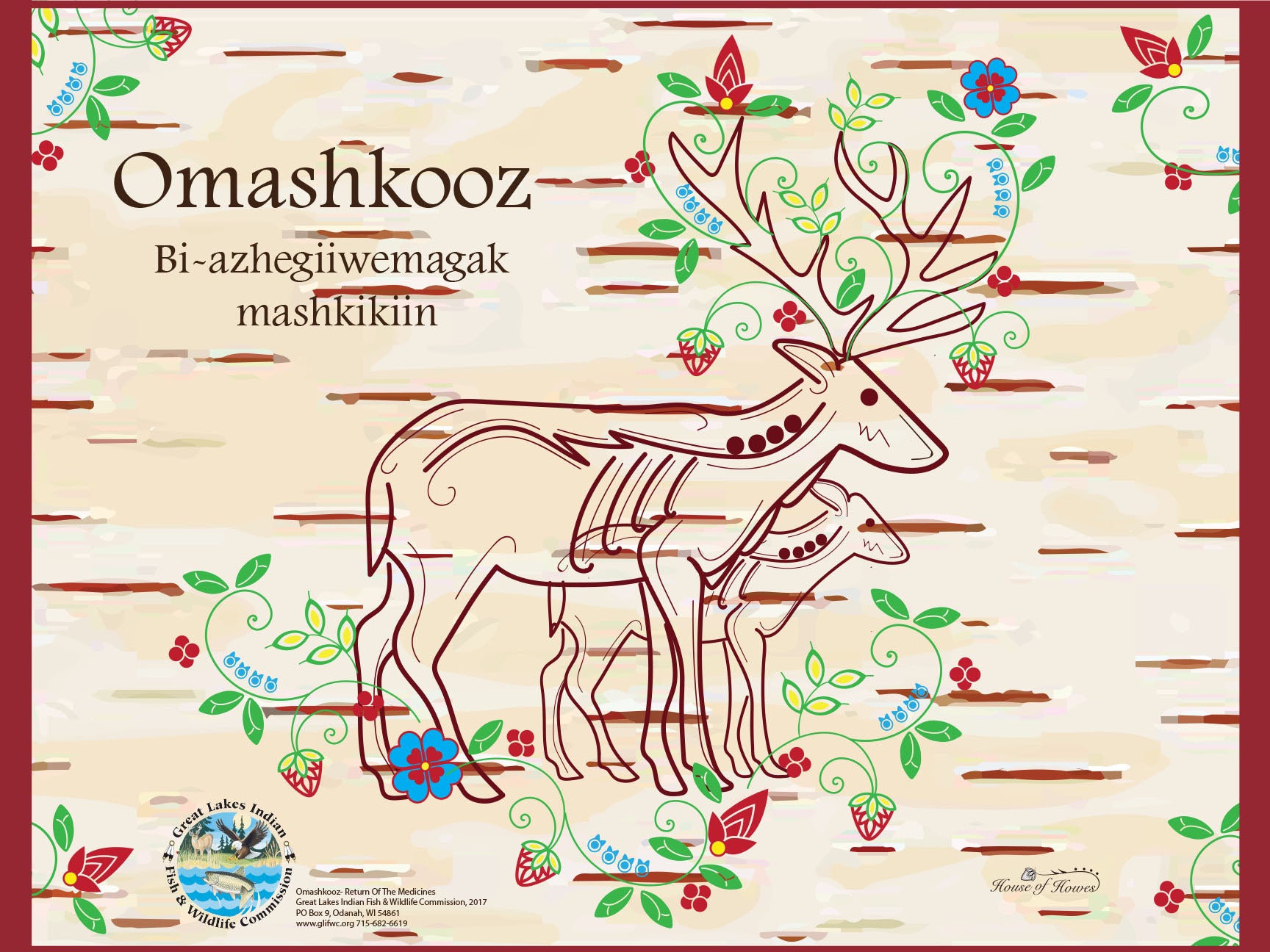 Great Lakes Indian Fish and Wildlife Commission (GLIFWC) celebrates the return of the Omashkooz (elk) with collaboration with House of Howes