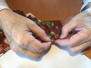Becoming our grandmothers